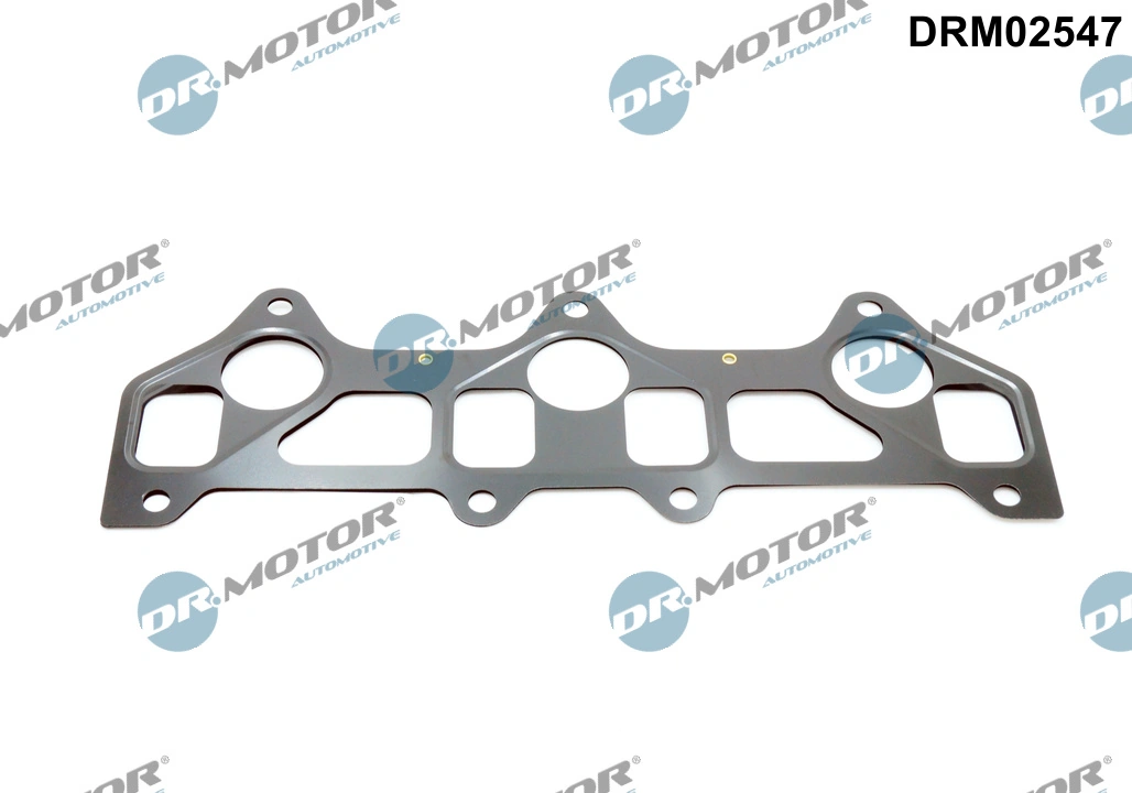 Gasket, intake manifold